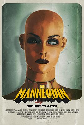 ��Z��模型